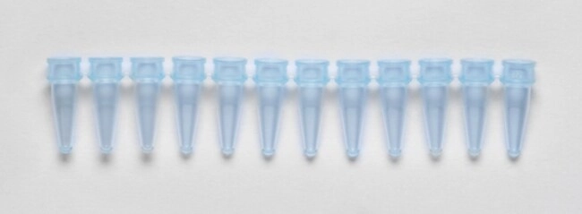 PCR Plate Strip Caps