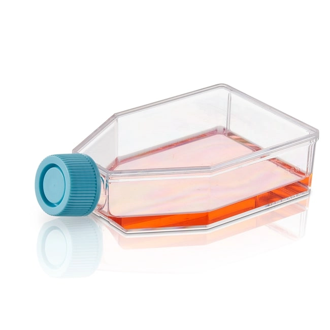 BioLite Cell Culture Treated Flasks
