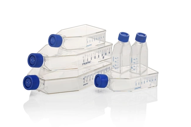 Nunc EasYFlask Cell Culture Flasks