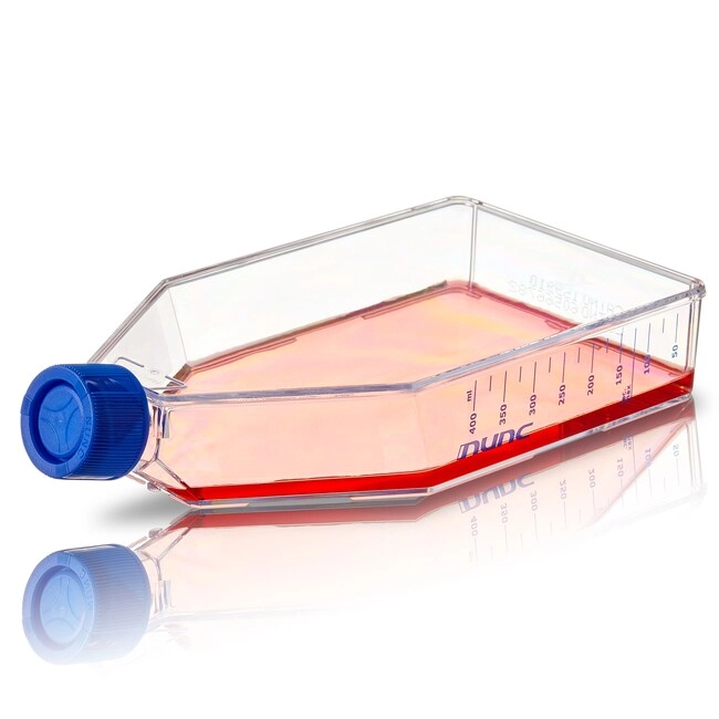 Nunc Cell Culture Treated Flasks with Solid Caps