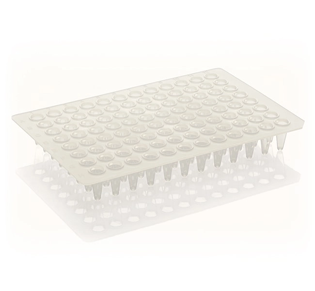 PCR Plate, 96-well, low profile, non-skirted, white