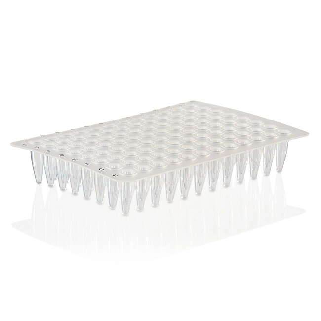 PCR Plate, 96-well, non-skirted, black lettering