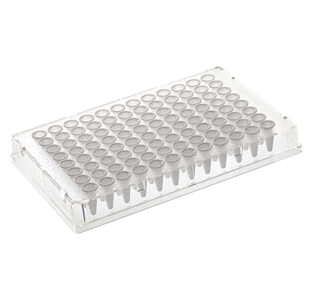 Armadillo PCR Plate, 96-well, green, clear wells, barcoded