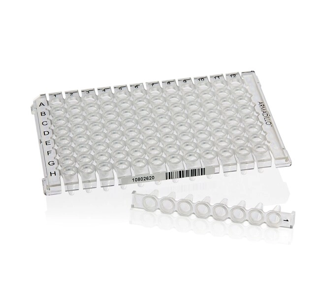 Armadillo Low-Profile PCR Strip Plate, 96 well, clear, bulk