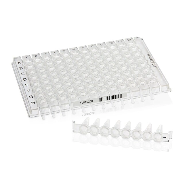 Armadillo Low-Profile PCR Strip Plate, 96 well, clear, white well