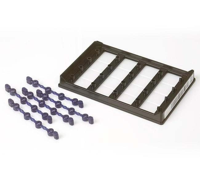 QuantStudio Absolute Q MAP16 Plate Kit