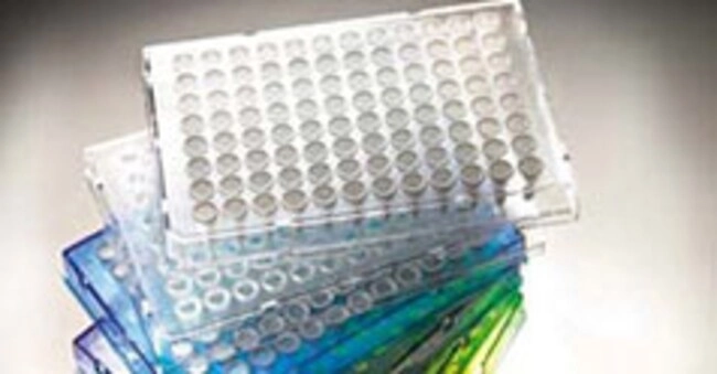 Armadillo PCR Plate, 96-well, orange, semi-skirted, low profile, white wells
