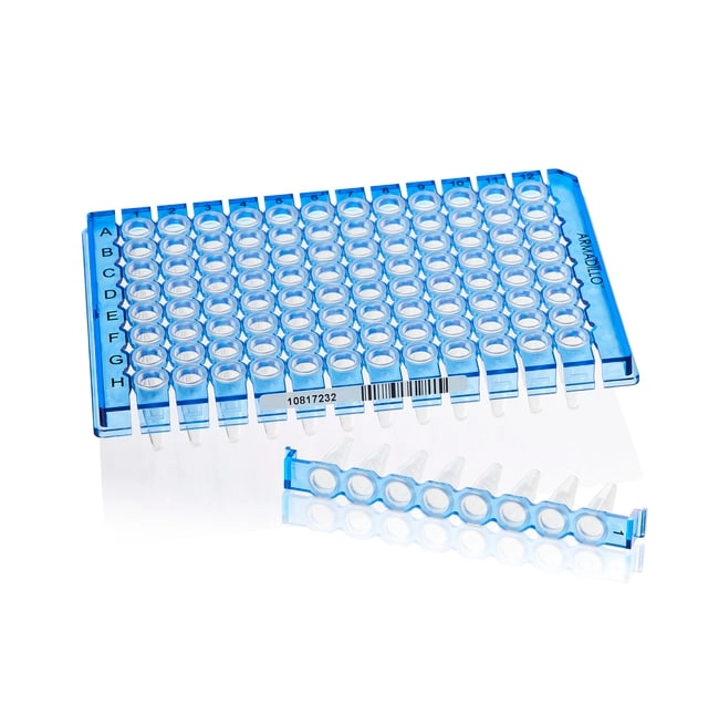 Armadillo PCR Strip Plate, 96 well, blue