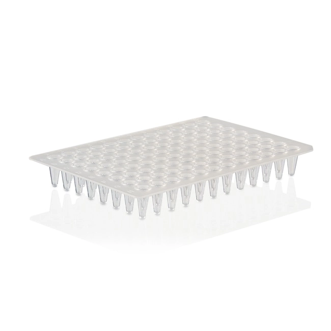 PCR Plate, 96-well, low profile, non-skirted