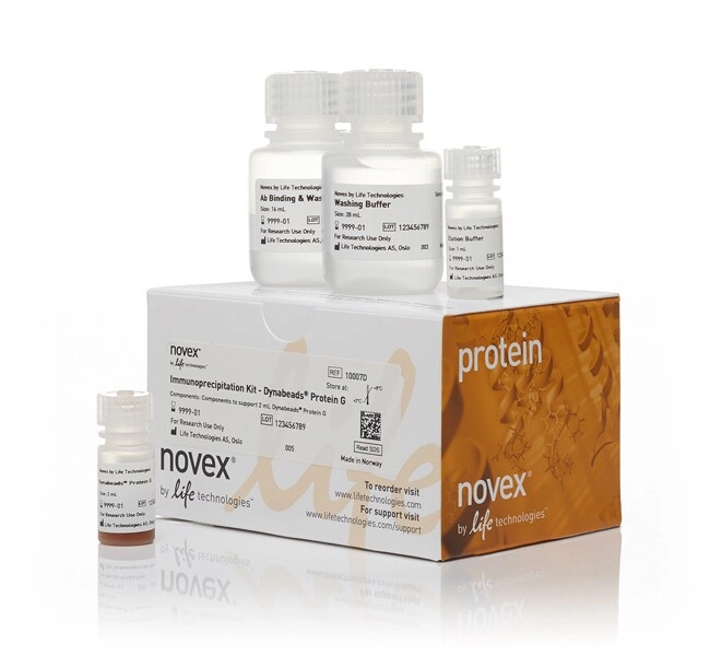 Dynabeads Protein G Immunoprecipitation Kit