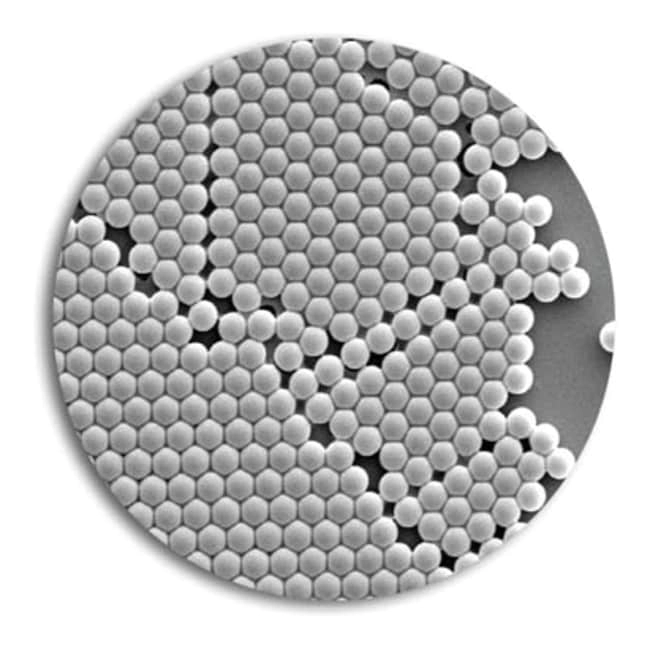 5000 Series 0.31&mu;m to 0.93&mu;m Polymer Particle Suspensions