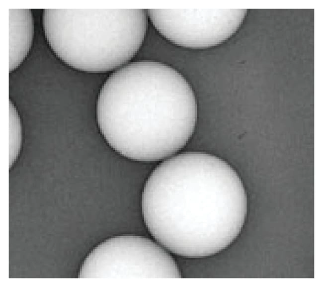 COUNT-CAL Count Precision Size Standards