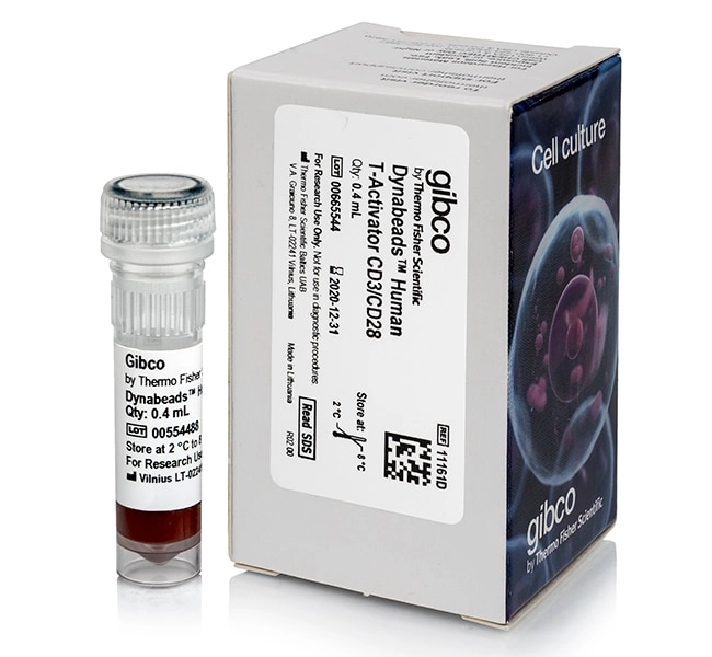 Dynabeads Human T-Activator CD3/CD28 for T Cell Expansion and Activation