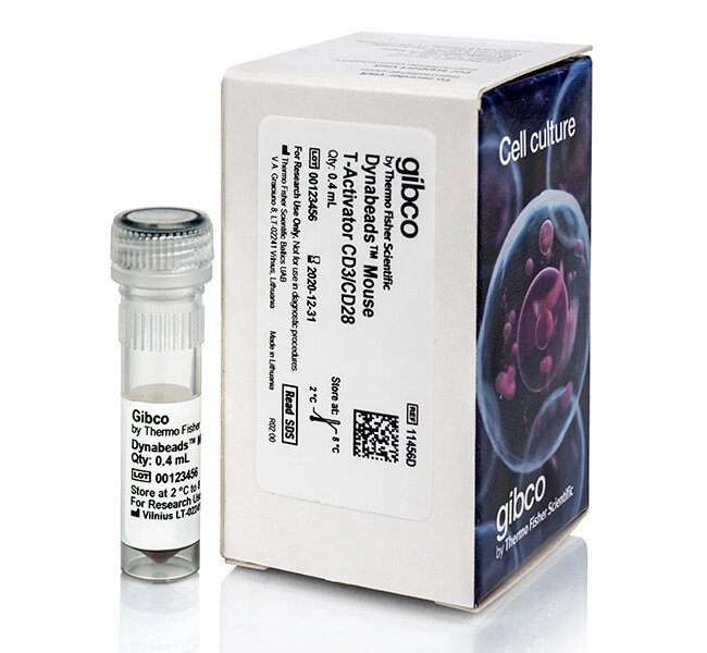 Dynabeads Mouse T-Activator CD3/CD28 for T-Cell Expansion and Activation