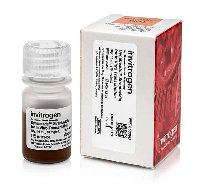 Dynabeads Streptavidin for In Vitro Transcription