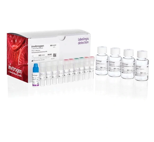 Pluripotent Stem Cell 4-Marker Immunocytochemistry Kit