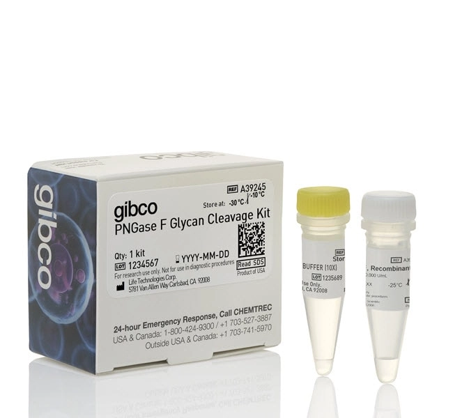 PNGase F Glycan Cleavage Kit