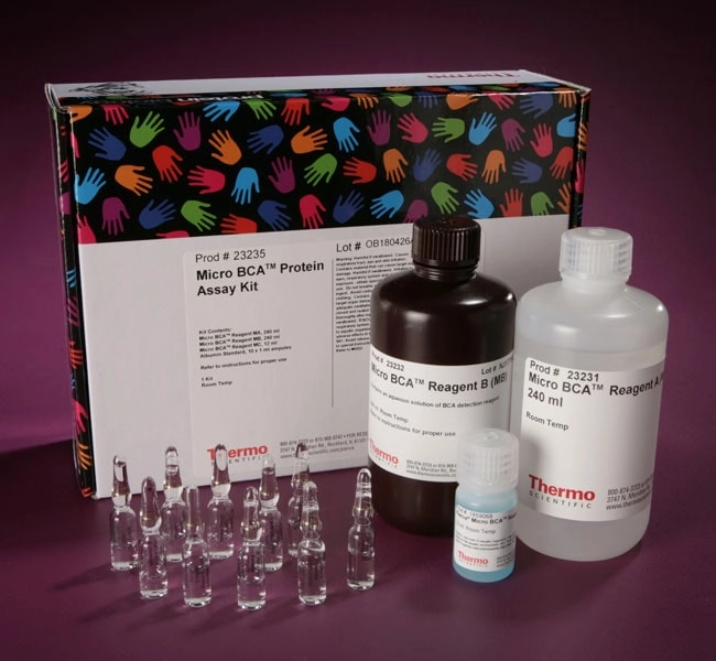 Micro BCA Protein Assay Kit | LabX.com