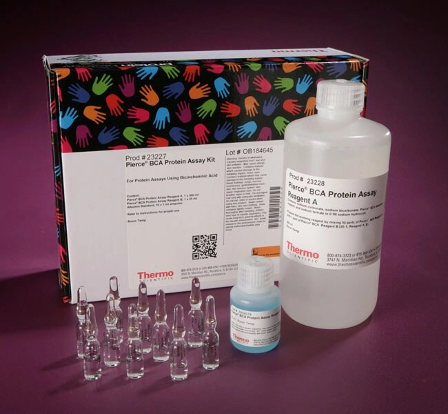 Pierce BCA Protein Assay Kits