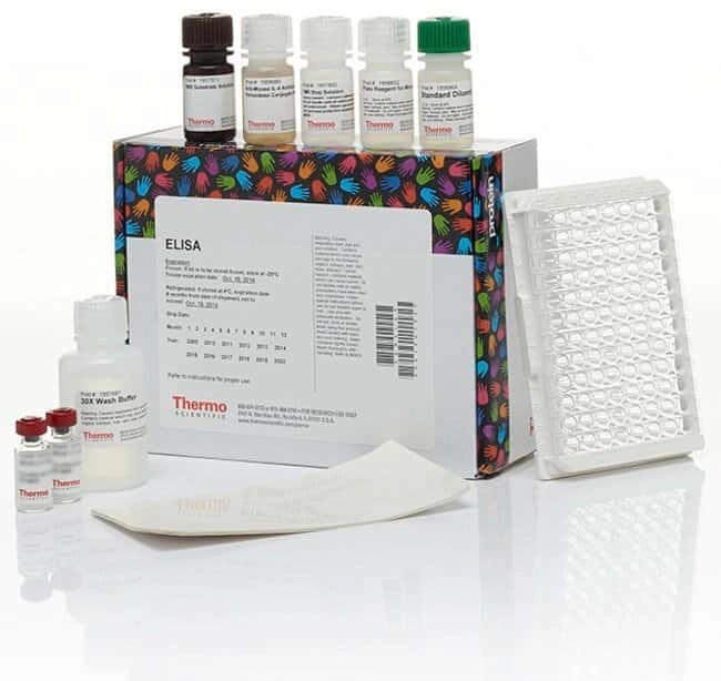 Rapid ELISA Mouse mAb Isotyping Kit