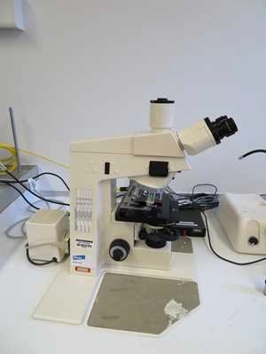 Carl Zeiss Inc. EL-Einsatz Microscope With Cold Light Source PL2000