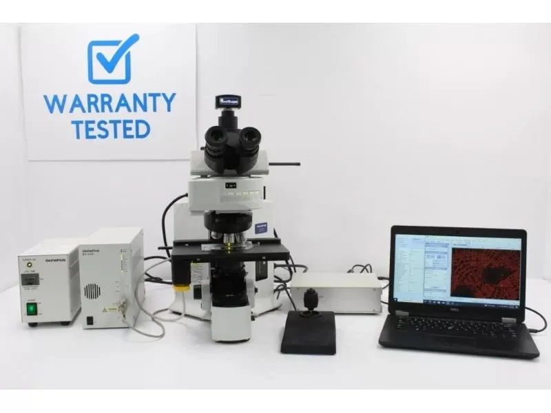 Olympus BX61 Fluorescence Microscope with Motorized XY Stage (New Filters)