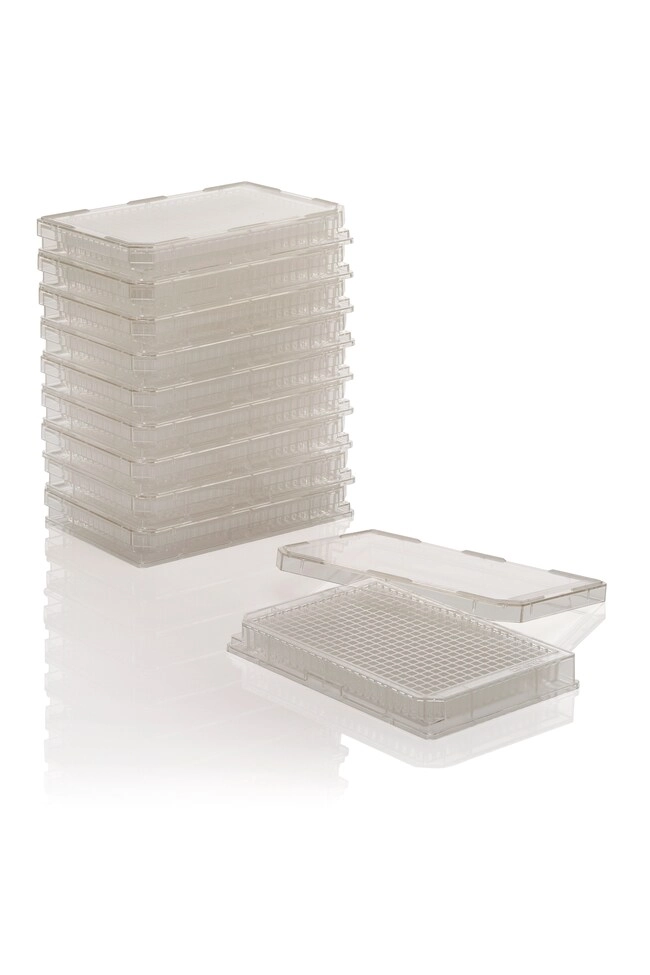 384 Well Plate, TC Surface, Pack of 10