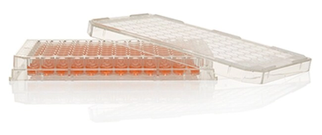 Nunc MicroWell 96-Well, Nunclon Delta-Treated, Flat-Bottom Microplate
