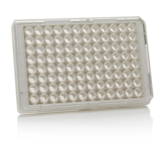 96 Well White/Clear Bottom Plate, TC Surface