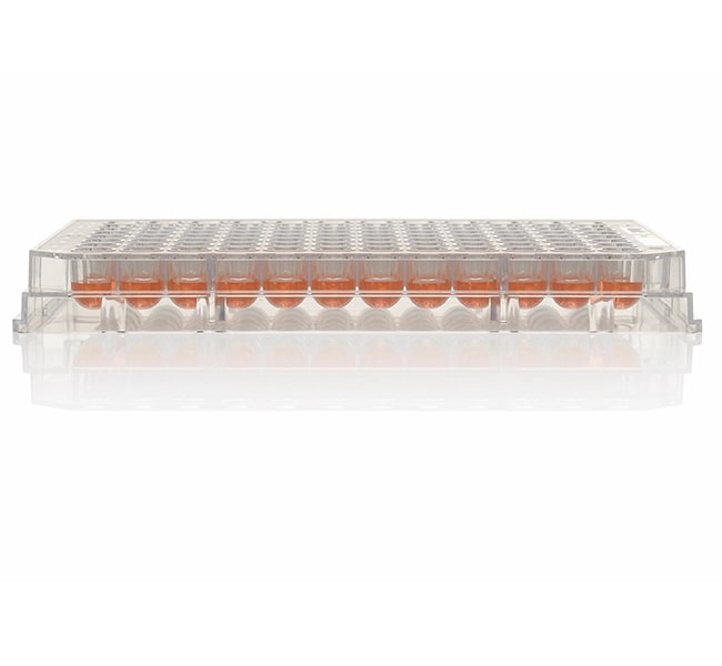 96 Well Plate, Non-Treated, Non-Sterile, Pack of 10