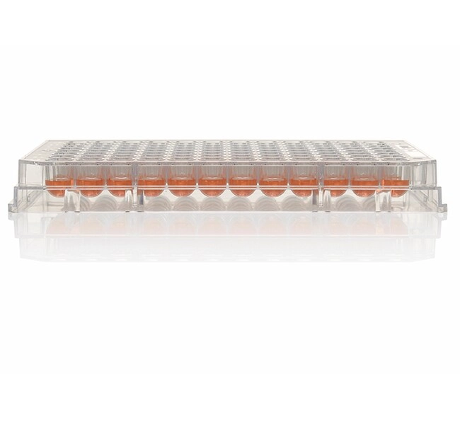 Nunc MicroWell 96-Well Microplates