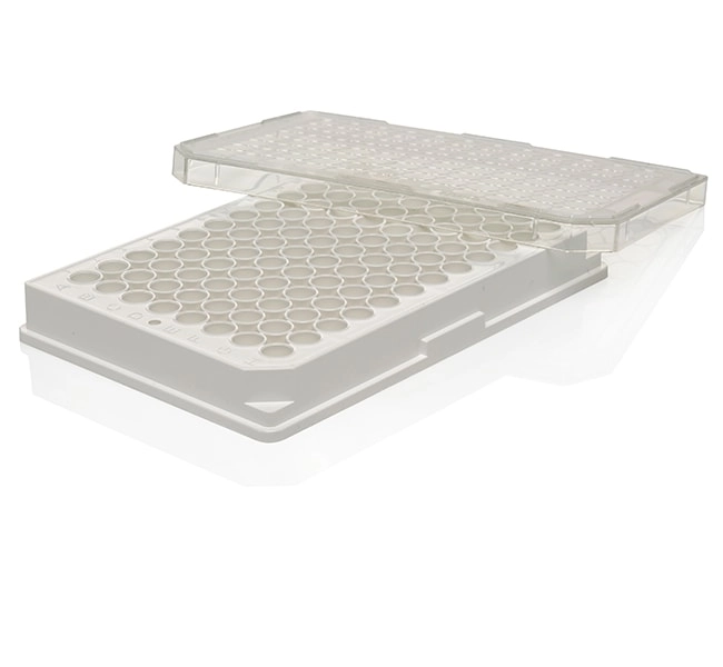Nunc MicroWell 96-Well, Nunclon Delta-Treated, Flat-Bottom Microplate