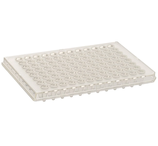 Armadillo PCR Plate, 96-well, clear, semi-skirted, low profile, white wells