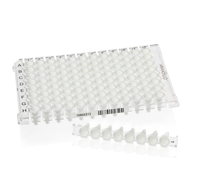 Armadillo PCR Strip Plate, 96 well, clear, bulk
