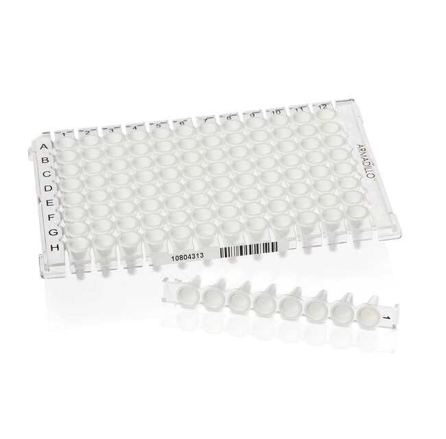 Armadillo PCR Strip Plate, 96 well, clear