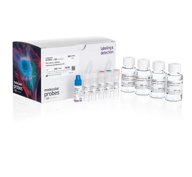 Pluripotent Stem Cell Immunocytochemistry Kit (OCT4, SSEA4)