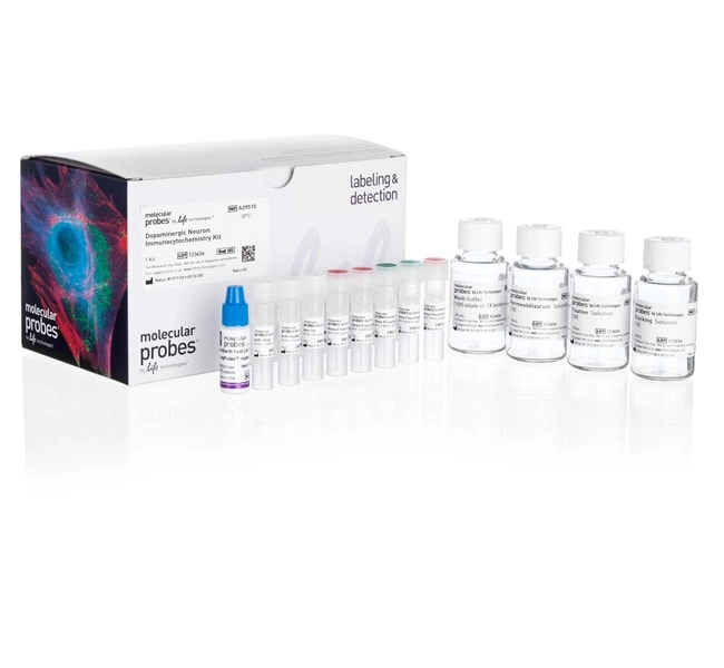 Human Dopaminergic Neuron Immunocytochemistry Kit