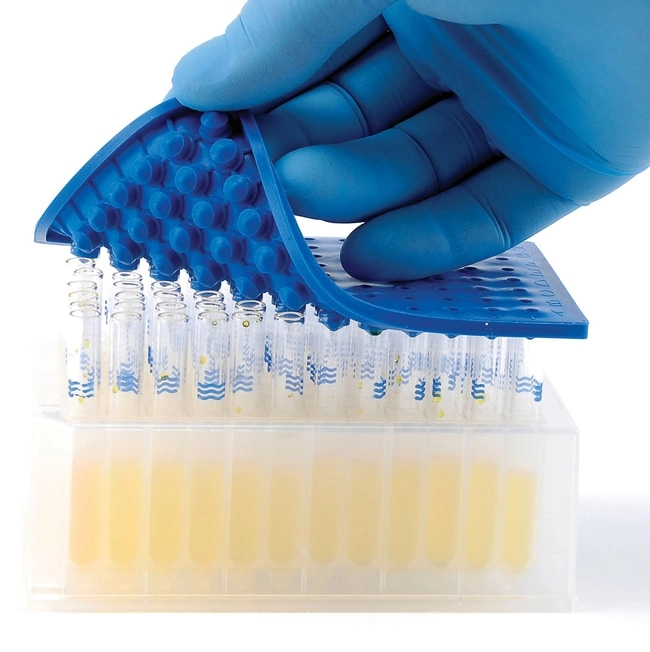 SureSTART WebSeal 384-Well Plate Sealing Mat, Square, Flat Base, Level 1 Everyday Analysis