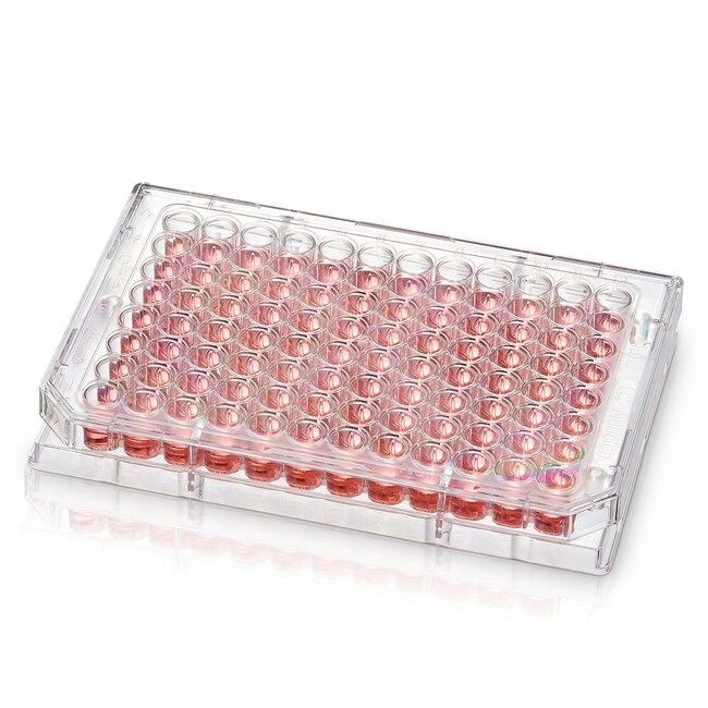 Nunc 96-Well Polystyrene Round Bottom Microwell Plates