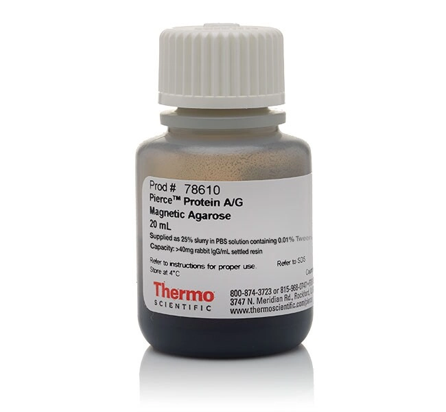 Pierce Protein A/G Magnetic Agarose Beads