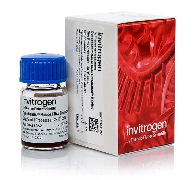 Dynabeads Mouse CD43 (Untouched B Cells)