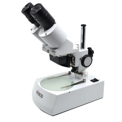 Eisco Stereoscopic Microscope - Binocular Head Inclined at 45 Degrees, Fitted - Eisco Labs BI0057