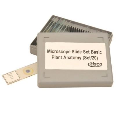 Eisco Plant Anatomy Microscope Slide Set - 20 Slides in Plastic Storage Box BI0296