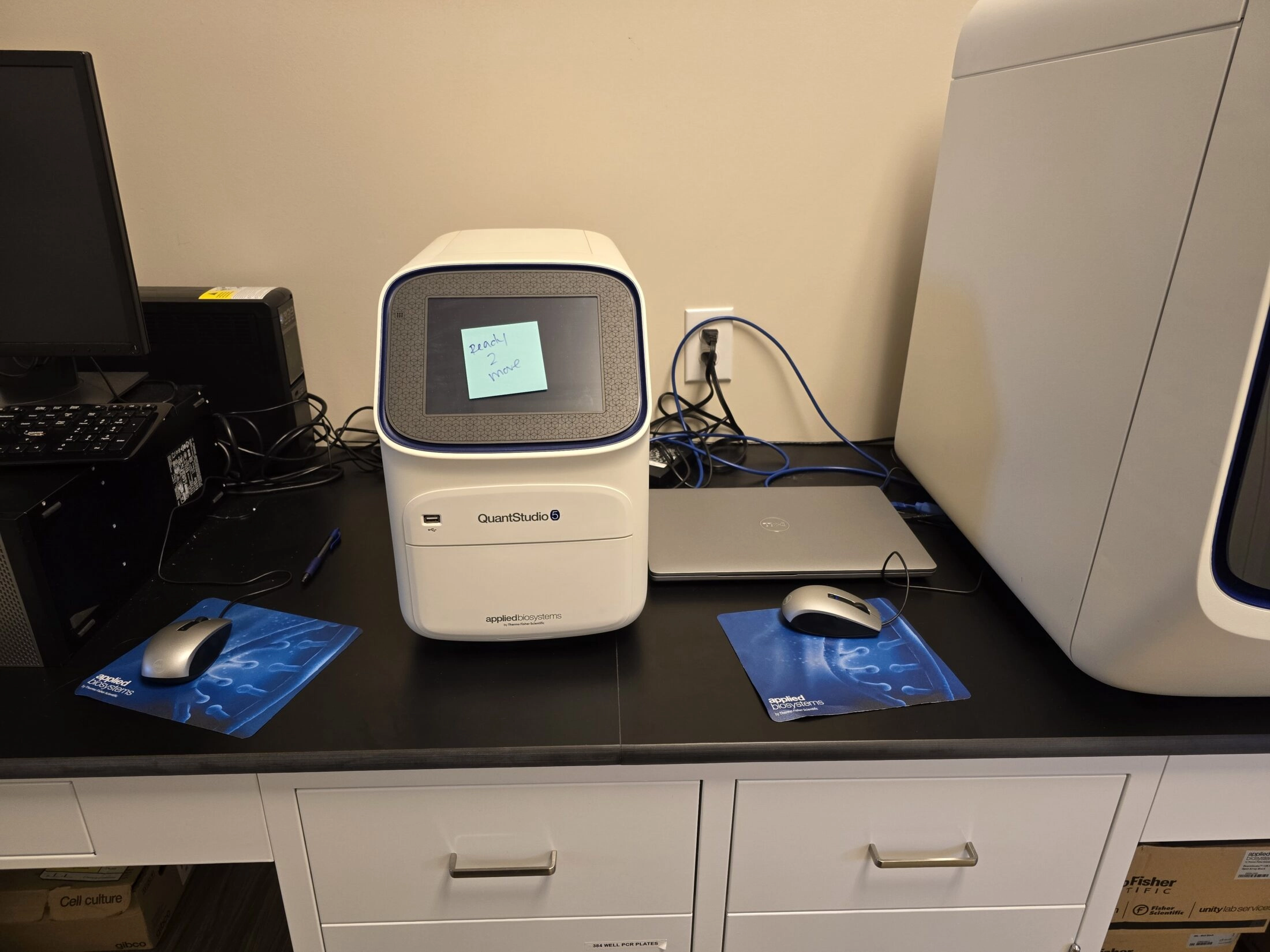 Thermo QuantStudio 5 Real-Time PCR System