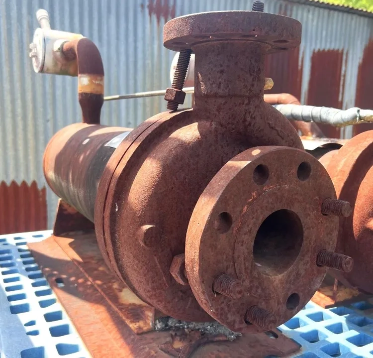 Used Crane CHEMPUMP Seal-less Pump MODEL CVEH-3T