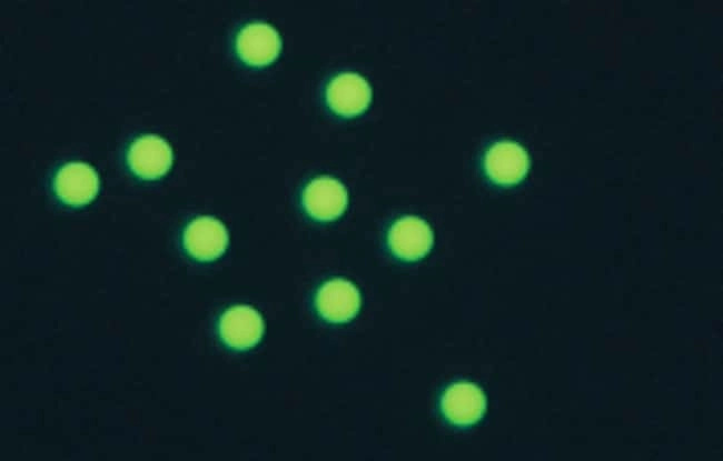 Fluoro-Max Green and Red Dry Fluorescent Particles