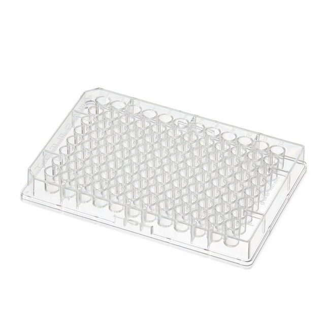 Pierce Protein L Coated Plates, Clear, 96-Well