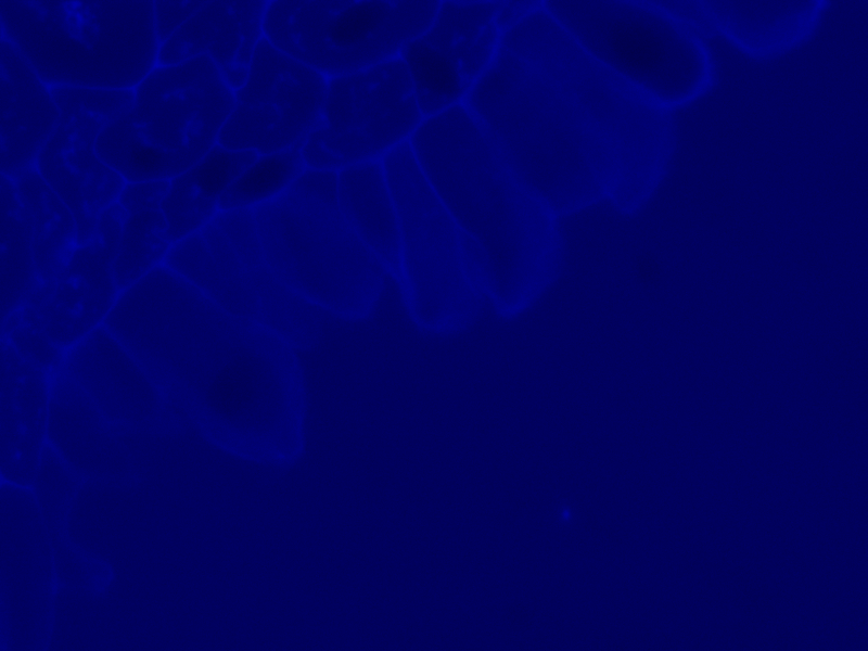 Thumbnail 13