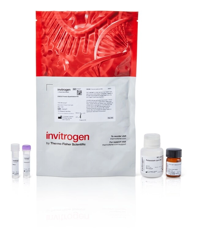 CBQCA Protein Quantitation Kit