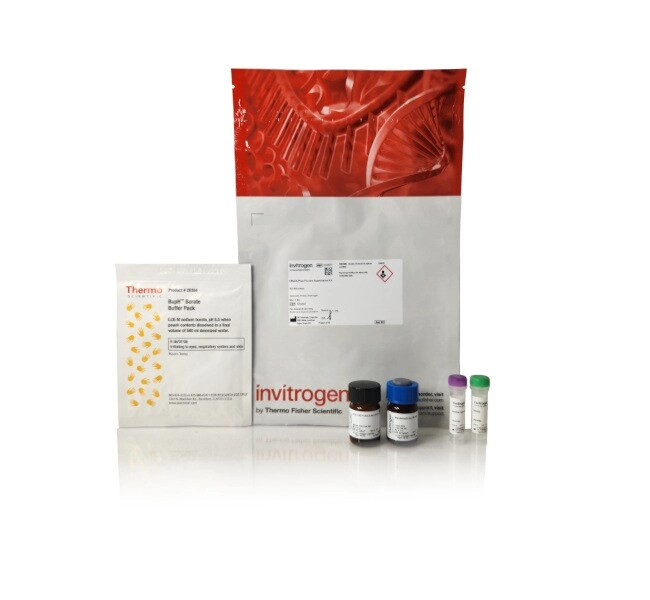 CBQCA Plus Protein Quantitation Kit